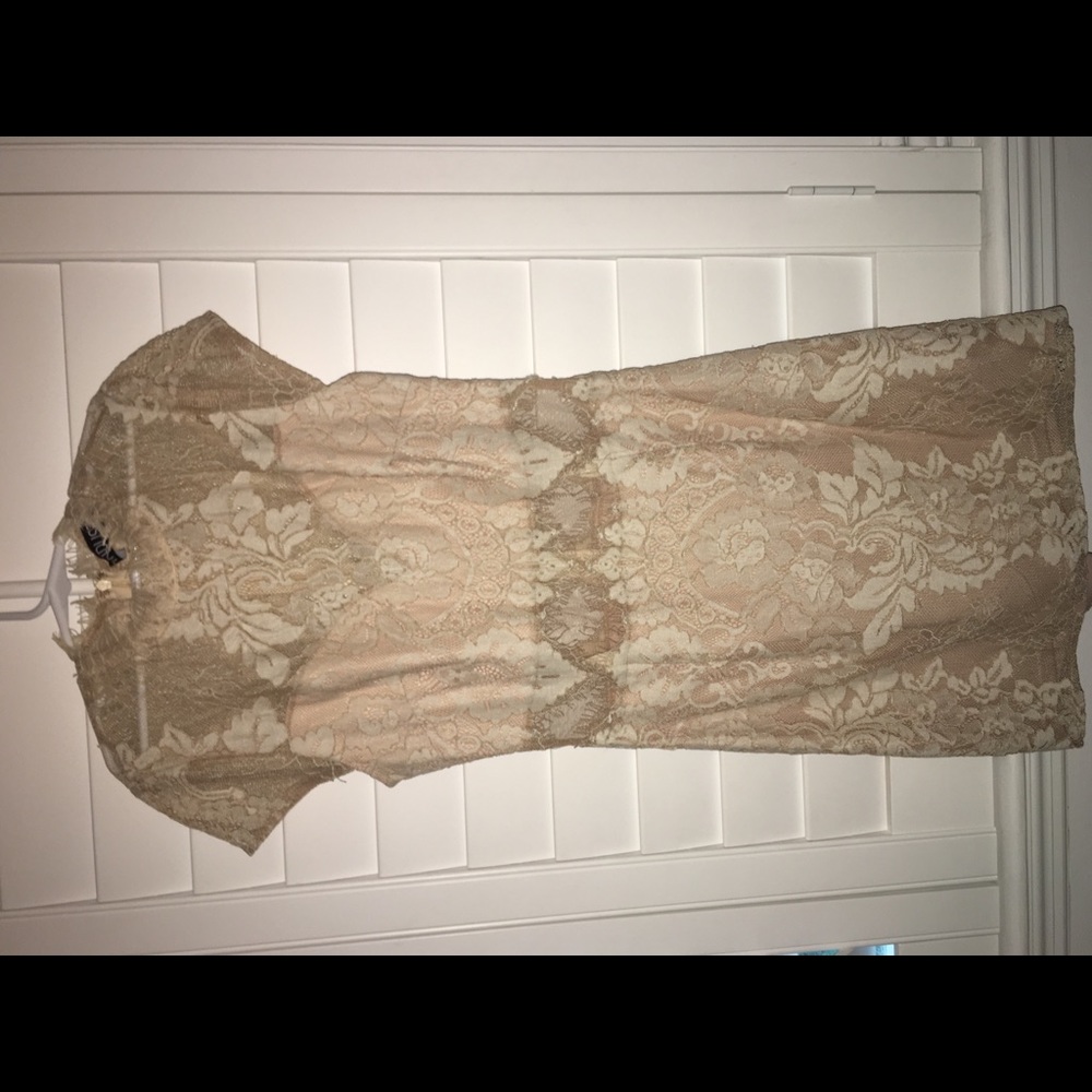 Elegant Lace & sheer dress